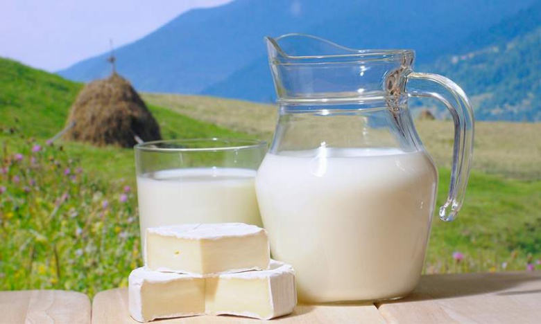Себестоимость молока с начала года сократилась на 5 процентов