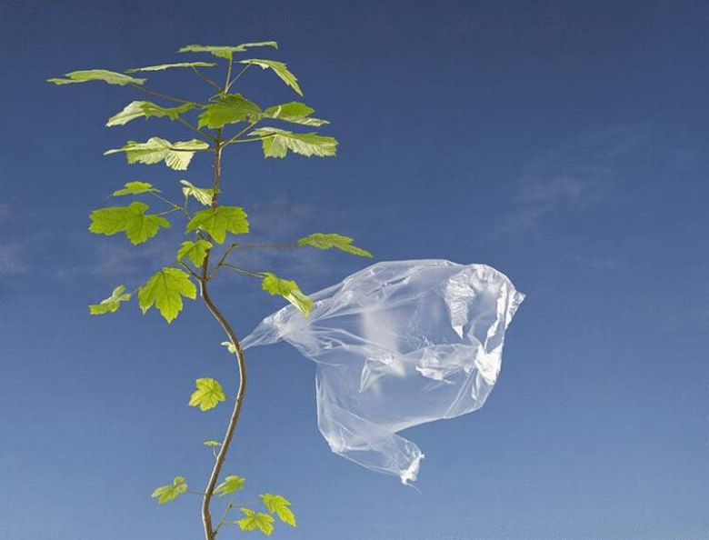 Экологический сбор за пластиковые пакеты могут ввести в России